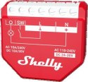 Shelly Qubino Wave 1PM