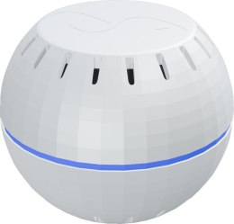 Shelly Wave H&T (2025)