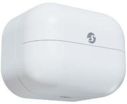 Shelly Wave Motion (2025)