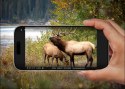 Fotopułapka Reolink Camovue 8MP LTE Talon Series T130