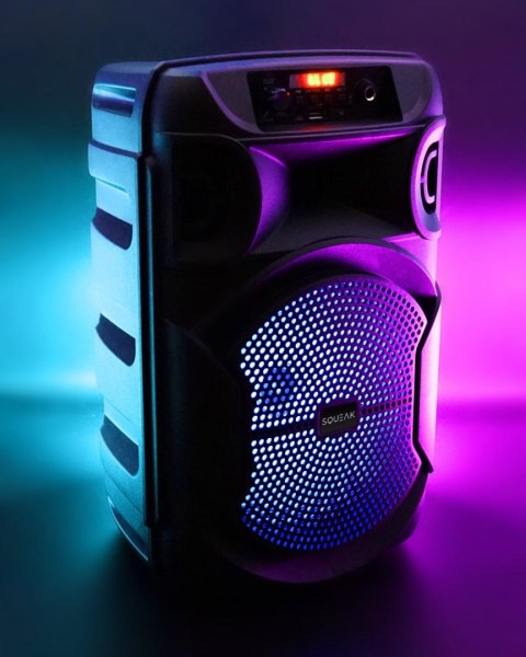 Głośnik mobilny SQUEAK SQ1006 30W Radio FM Czarny