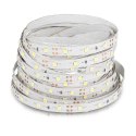 Taśma LED V-TAC 12V SMD3528 300LED IP20 3,2W/m VT-3528 60-IP20 Kolor Niebieski