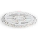 Taśma LED V-TAC 12V SMD3528 300LED IP20 4,2W/m VT-3528 60-IP20 6500K 420lm