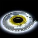 Taśma LED V-TAC 12V SMD3528 600LED IP20 8W/m VT-3528 IP20 6500K 800lm