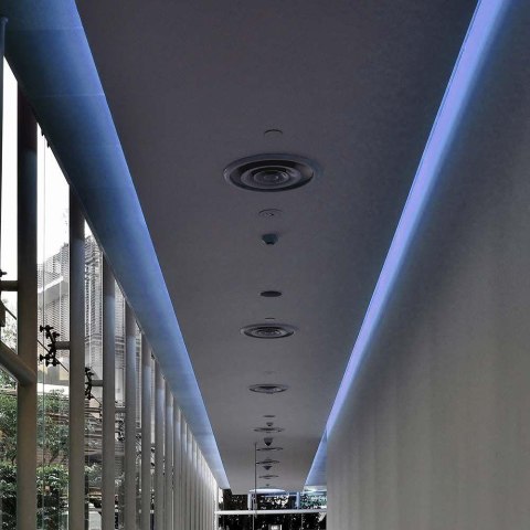 Taśma LED V-TAC 12V SMD5050 300LED IP20 11W/m VT-5050 60-IP20-11 Kolor Niebieski