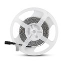 Taśma LED V-TAC SAMSUNG CHIP 2835 600LED 12V IP20 12W/m VT-5-120 4000K 1320lm 3 lata gwarancji