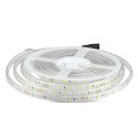 Taśma LED V-TAC SMD5050 300LED 24V IP65 rękaw 10W/m VT-5050 60-IP65 6400K 830lm