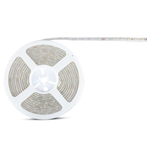Taśma LED V-TAC SMD5050 300LED 24V IP65 rękaw 10W/m VT-5050 60-IP65 6400K 830lm