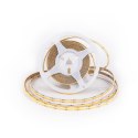Taśma LED V-TAC bezpunktowa COB CCT 3w1 560LED 24V 18W/m CRI90 VT-COB 2700K-6500K