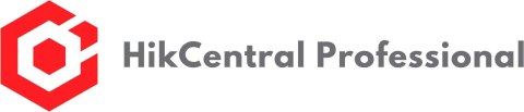 HIKVISION HikCentral-P-SmartWall-1Output