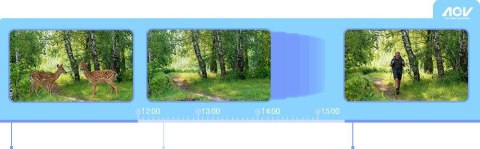 Kamera IP Ezviz EB8 Pro Ranger 8MP z panelem słonecznym 8W 4G Wi-Fi