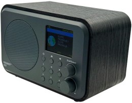 Radio internetowe Ferguson Regent i101 | DAB+ | FM RDS / Akumulator 2000 mAh (Czarne)