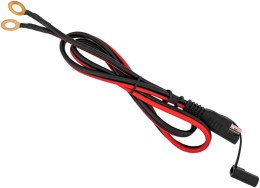 Prostownik Volt Polska do akumulatorów LiFePO4 12V 30A