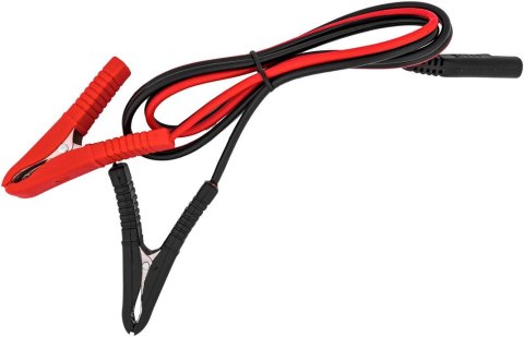 Prostownik Volt Polska do akumulatorów LiFePO4 12V 30A